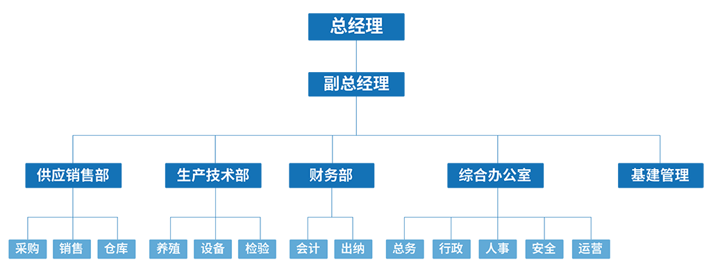 矢量智能对象-01.png